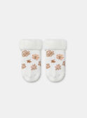 Lot de deux paires de chaussettes de naissance NOLINE / 25H0AF21SOQ318