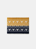 Snood jacquard tricolore LISBOAGE / 24H4PG72SNO070