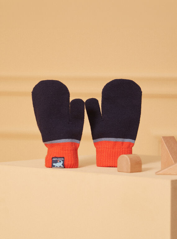 Moufles tricolore LISFLAGE / 24H4PG71GAN070