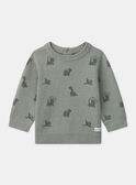 Pull dinosaures MAGABIN / 25E1BG91PULG610