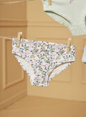 Lot de 5 culottes LUIZETTE / 24H5PF51SLR005