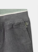 Pantalon Gris en Velours LADURAGE / 24H3PGQ1PANJ909