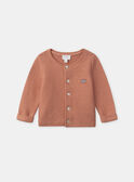 Gilet en tricot  NOLINA / 25H0CF21CARD329