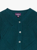 Cardigan vert émeraude en tricot fantaisie GACAMILLE / 23H1BF82CAR608