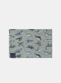 Snood jersey vert sauge imprimé dinosaures MISNODAGE / 25E4PG91SNOG600