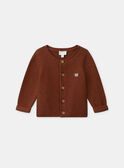 Gilet en tricot  NORBERT / 25H0CG21CAR817