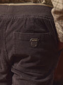 Pantalon Gris en Velours LADURAGE / 24H3PGQ1PANJ909