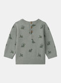 Pull dinosaures MAGABIN / 25E1BG91PULG610