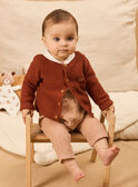 Gilet en tricot  NORBERT / 25H0CG21CAR817