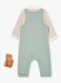 Ensemble Kaki LOIC / 24H0CG12ENS604