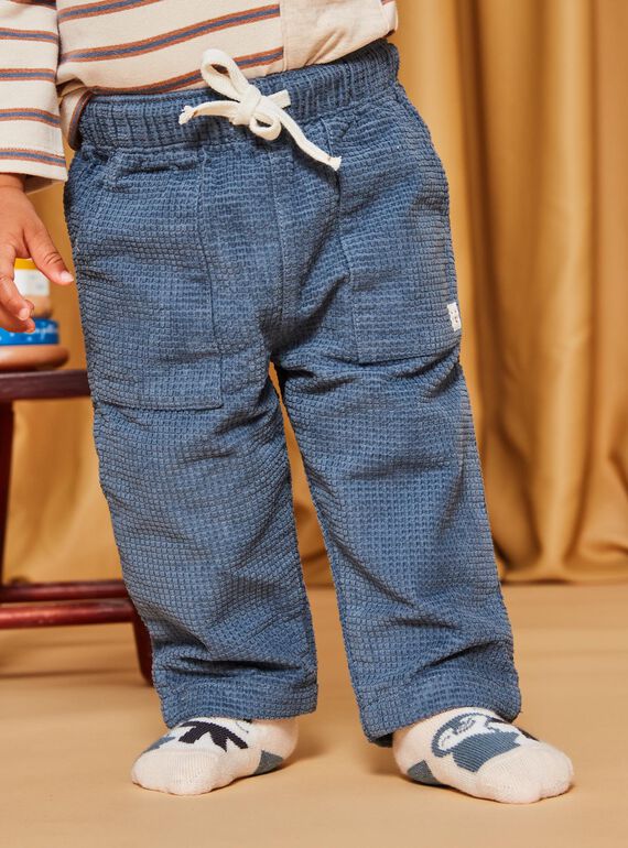 Pantalon en velours côtelé bleu gris DASECTOR / 22H1BGY2PAN205
