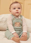 Ensemble Kaki LOIC / 24H0CG12ENS604