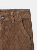Pantalon en velours noisette LALERAGE / 24H3PGS2PANI820