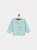 Cardigan vert NAORTENSE / 18E1BFJ2CAR629