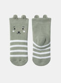 Chaussettes vert argile à rayures KAALAN / 24E4BG35SOQG600