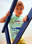 T-shirt bleu turquoise motifs requins enfant garçon COTIFAGE / 22E3PGN1TMC203