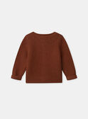 Gilet en tricot  NORBERT / 25H0CG21CAR817