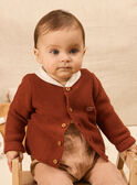 Gilet en tricot  NORBERT / 25H0CG21CAR817