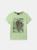 T-shirt Dinosaure MLEDINAGE / 25E3PGO2TMC603