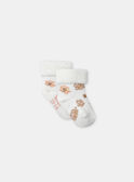 Lot de deux paires de chaussettes de naissance NOLINE / 25H0AF21SOQ318