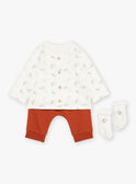 Haut, bas de pyjama et chaussettes gris clair GOKAY / 23H0CML2ENS001