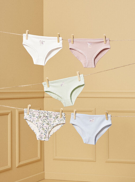 Lot de 5 culottes LUIZETTE / 24H5PF51SLR005